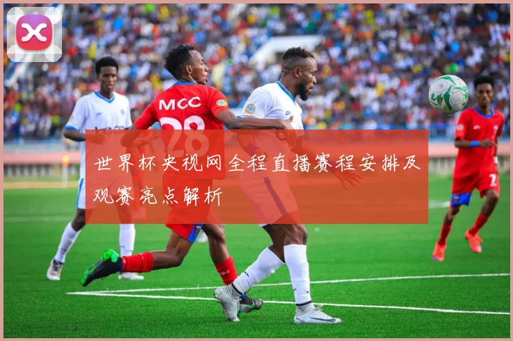 世界杯央视网全程直播赛程安排及观赛亮点解析