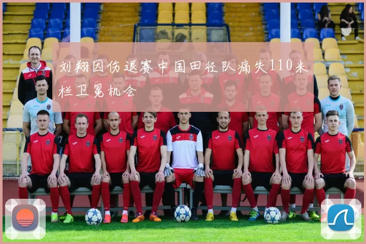 刘翔因伤退赛中国田径队痛失110米栏卫冕机会