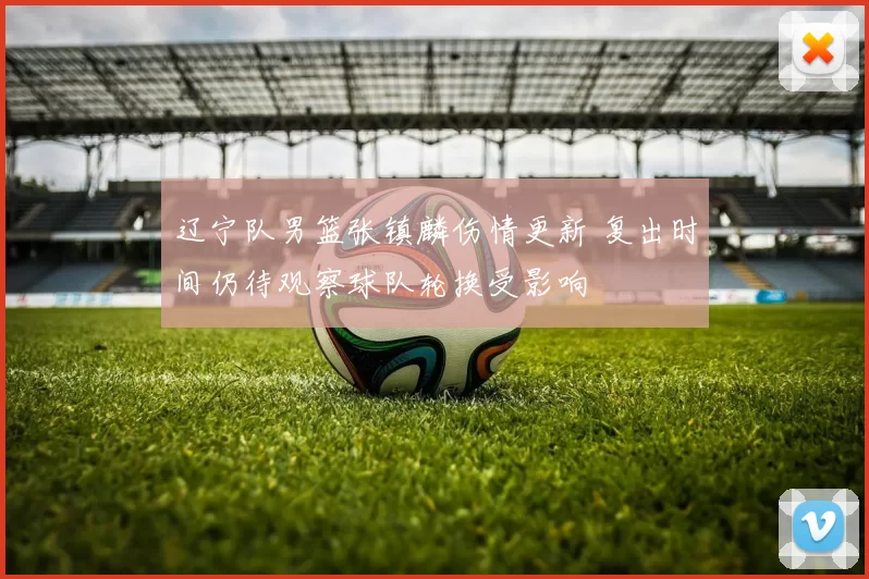 辽宁队男篮张镇麟伤情更新 复出时间仍待观察球队轮换受影响