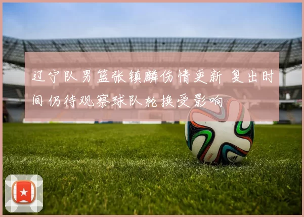 辽宁队男篮张镇麟伤情更新 复出时间仍待观察球队轮换受影响