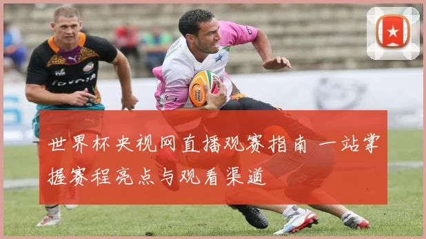 世界杯央视网直播观赛指南 一站掌握赛程亮点与观看渠道