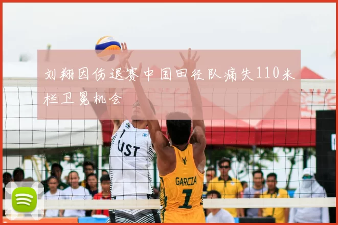 刘翔因伤退赛中国田径队痛失110米栏卫冕机会