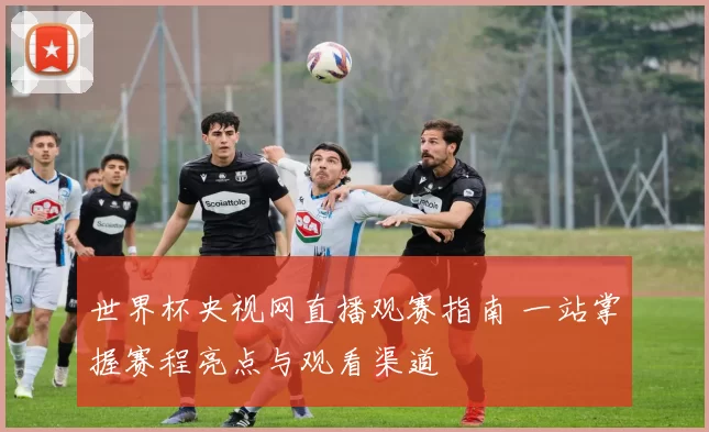 世界杯央视网直播观赛指南 一站掌握赛程亮点与观看渠道