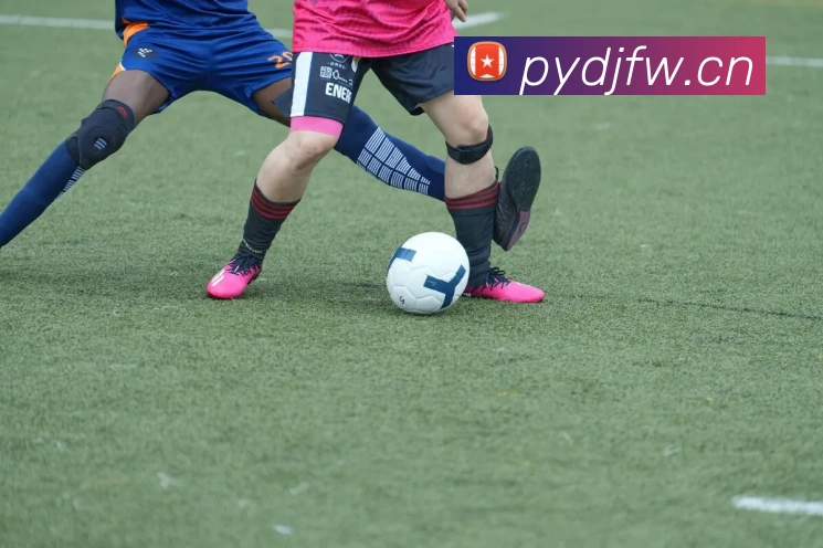 九游·官方站入口 - JiuYou j9(中国)全站App 九游·官方站入口 - JiuYou j9(中国)全站App